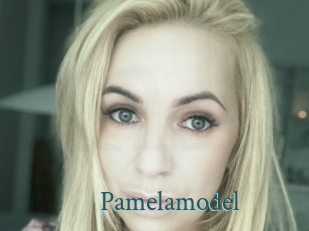 Pamelamodel