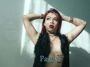 Pandy