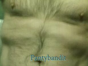Pantybandit