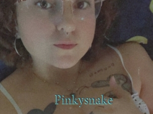 Pinkysnake