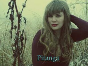 Pitanga