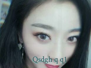 Qsdgh_q_q1