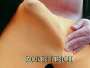 ROBIN_FINCH