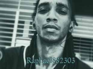 Raphael882303