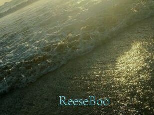 ReeseBoo