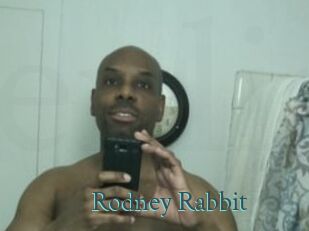 Rodney_Rabbit