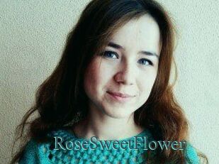 RoseSweetFlower