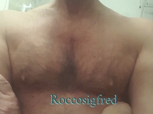 roccosigfred En live show