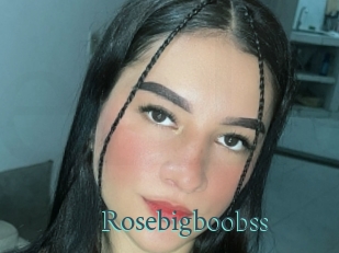 Rosebigboobss