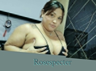 rosespecter En live show