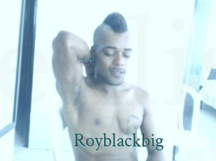 Royblackbig