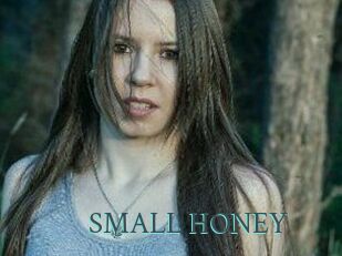 SMALL_HONEY