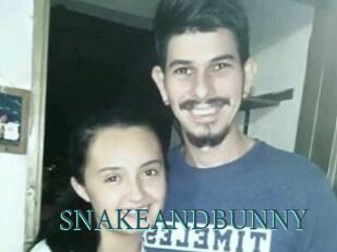 SNAKEANDBUNNY