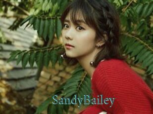 SandyBailey