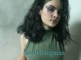 SandyBergman