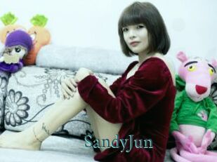 SandyJun