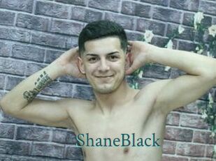 ShaneBlack