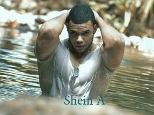 Shein_A