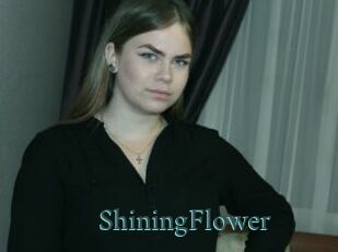 ShiningFlower