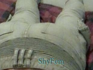 ShyFem