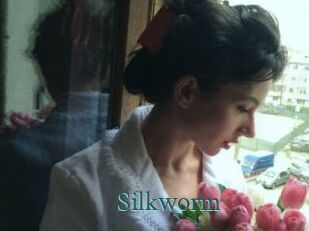 Silkworm