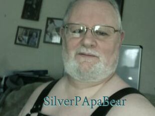 SilverPApaBear