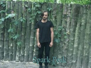 Spark_Peak En live show