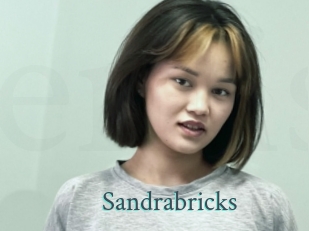 Sandrabricks