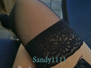 Sandy1111