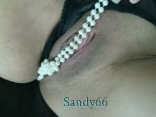 Sandy66