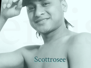 Scottrosee