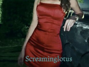 Screaminglotus