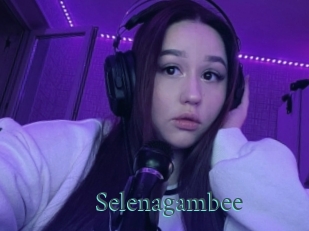 Selenagambee