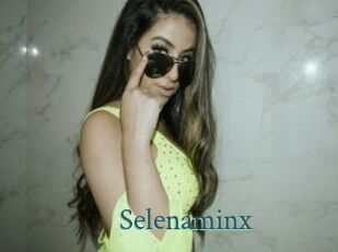 Selenaminx