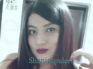 Shaninapuleri