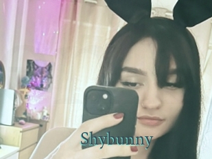 Shybunny