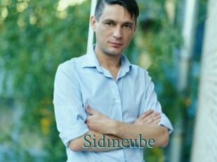 Sid_incube