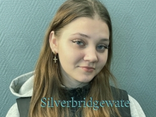 Silverbridgewate