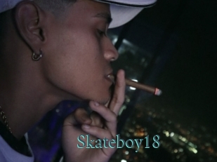 Skateboy18