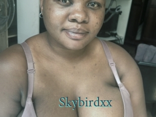 Skybirdxx