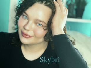 Skybri