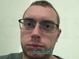 Snakefl