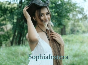 Sophiafostera