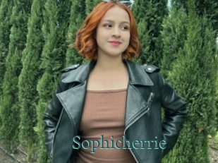 Sophicherrie