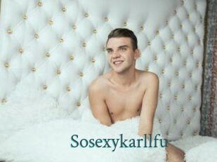 Sosexykarllfu