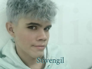 Stivengil