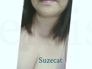 Suzecat