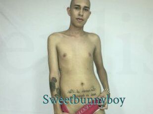 Sweet_bunny_boy