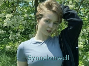 Synnebanwell