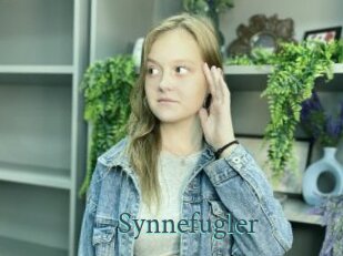 Synnefugler